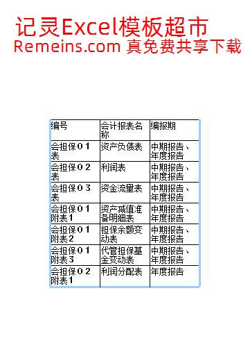 担保业自动生成模板-资产负债表 利润表 现金流量表 利润分配表 代管担保基金变动表 资产减值准备 担保余额表 .xls